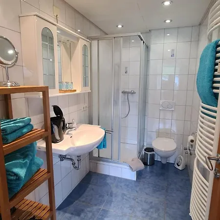 公寓 Offenburger Hof Dorlinbach