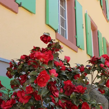 Lejlighed Offenburger Hof Dorlinbach