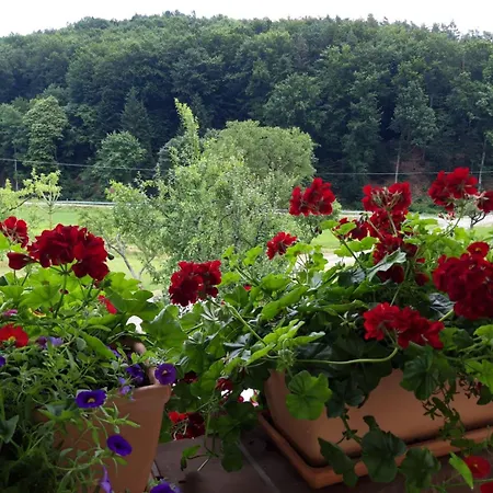 Offenburger Hof Dorlinbach