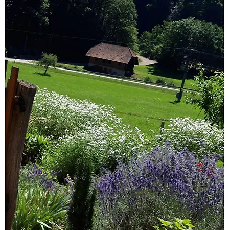 Offenburger Hof * Schuttertal