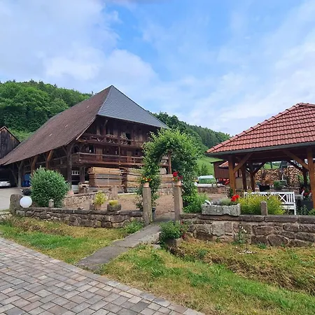 Offenburger Hof Apartman *