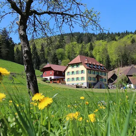 Offenburger Hof Apartman *